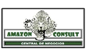 AMAZON CONSULT