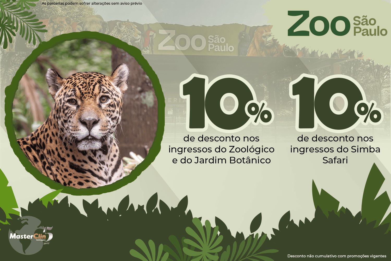 promoção